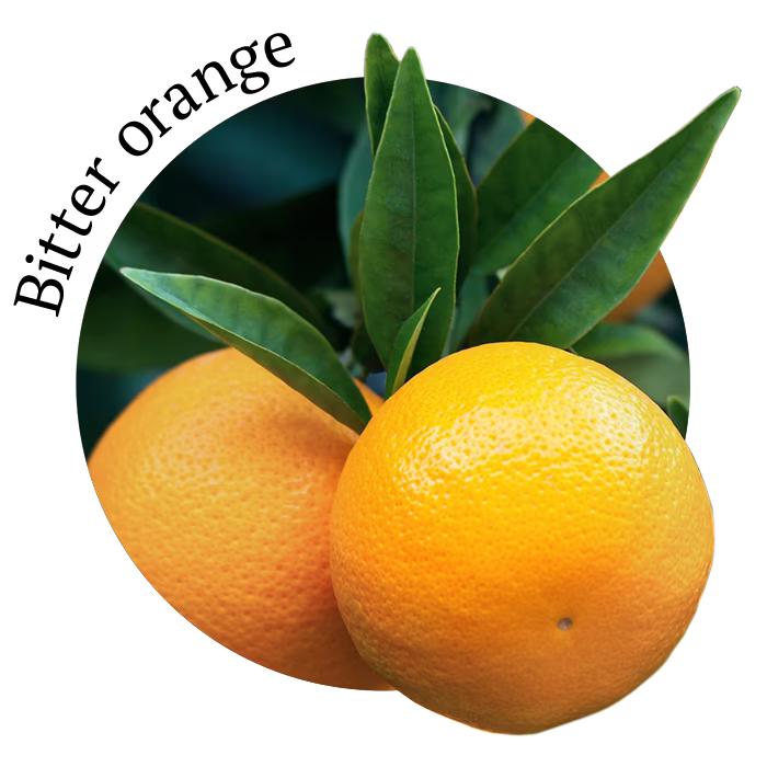 Botanical