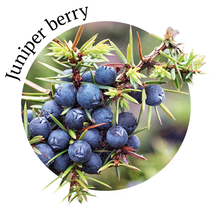 Botanical